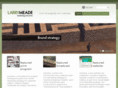 meademarketing.com