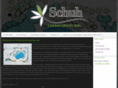 schuhlandscaping.com