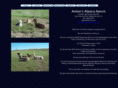 alpacasranch.com