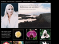 blueeaglegallery3.com