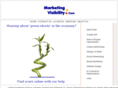 marketingvisibility.com