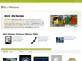 bird-pictures.com