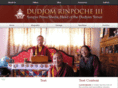 dudjomspz.org