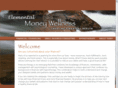 elementalmoneywellness.com