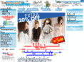 th-shopping.com