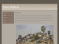 brianbelfield.com