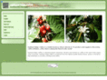 rainbowridgecoffee.com