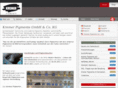 colorindex-pigment.com