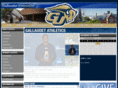 gallaudetathletics.com