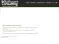 insoftwareconsulting.com