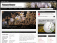 pasque-flower.com