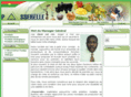 passerelle-internationale.com