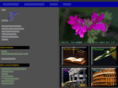 triton-tv.com