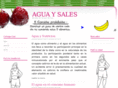 aguaysales.com