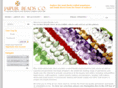 jaipurbeads.com
