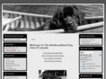 newfoundlanddogclub.ca