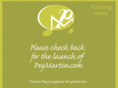 pegmartin.com