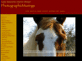 photographicmusings.com