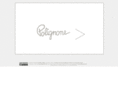 polignone.com
