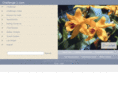 challenge1.com