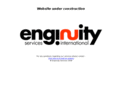 enginuity-services.com