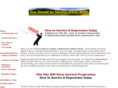 howtosurviveadepressiontoday.com