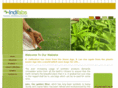 indifabs.com
