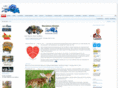 lakesuperiornews.com