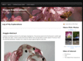 macroexplorations.com