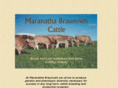 maranatha-braunvieh.com