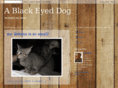 ablackeyeddog.com