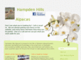 hampdenhillsalpacas.net