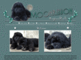 moonribbonnewfoundlands.com