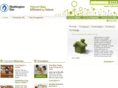 washingtongashome.com
