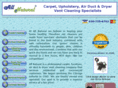 allnaturalservices.com