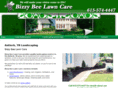 bizzybeelawncare.com