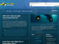 leddivelight.com