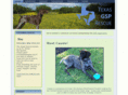 okgsp.com