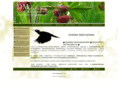 ornitolog.org
