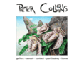 petercollinsart.com