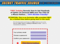 secrettrafficsource.com