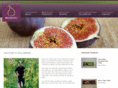 willabrand.com