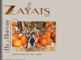 zayats.com