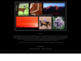 curtisphotogallery.com