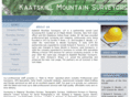 kaatskillsurveyors.com