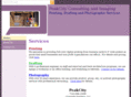 peakcity.net