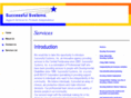 successfulsystemsinc.com