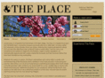 theplaceny.com