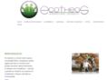 ecotheos.com