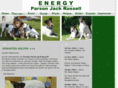 energy-pjr.com